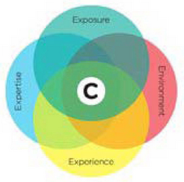 C EXPOSURE ENVIRONMENT EXPERIENCE EXPERTISE