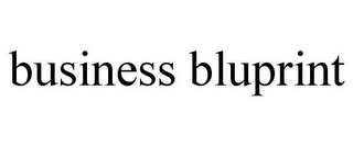 BUSINESS BLUPRINT