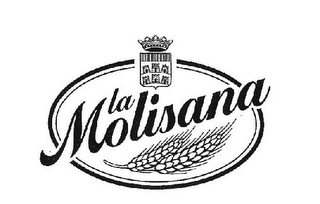 LA MOLISANA