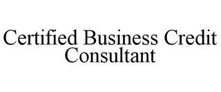 CERTIFIED BUSINESS CREDIT CONSULTANT