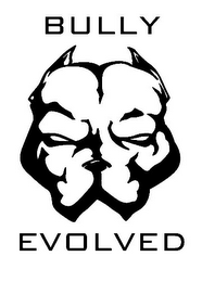 BULLY EVOLVED