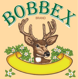 BOBBEX BRAND