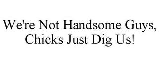 WE'RE NOT HANDSOME GUYS, CHICKS JUST DIG US!