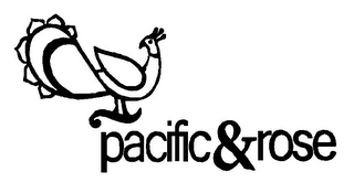 PACIFIC&ROSE