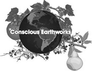 CONSCIOUS EARTHWORKS