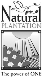 NATURAL PLANTATION THE POWER OF ONE