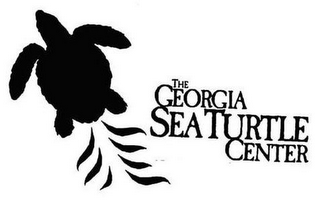 THE GEORGIA SEA TURTLE CENTER