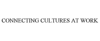 CONNECTING CULTURES AT WORK