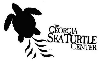 THE GEORGIA SEA TURTLE CENTER