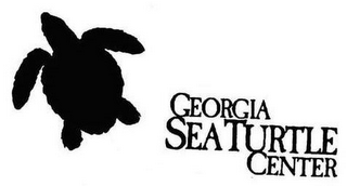 GEORGIA SEA TURTLE CENTER