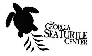 THE GEORGIA SEA TURTLE CENTER