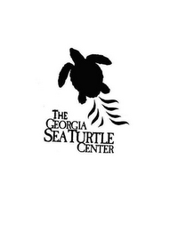 THE GEORGIA SEA TURTLE CENTER