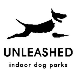 UNLEASHED INDOOR DOG PARKS