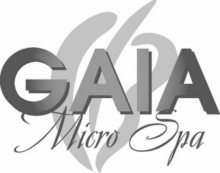 GAIA MICRO SPA