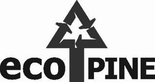 ECO PINE