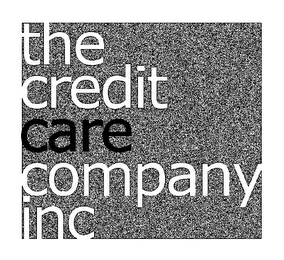 THE CREDIT CARE COMPANY INC