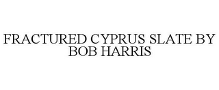 FRACTURED CYPRUS SLATE BY BOB HARRIS