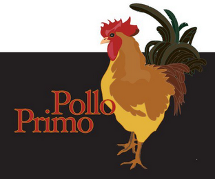 POLLO PRIMO