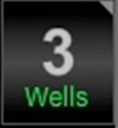 WELLS3