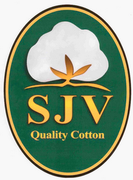 SJV QUALITY COTTON