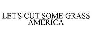 LET'S CUT SOME GRASS AMERICA