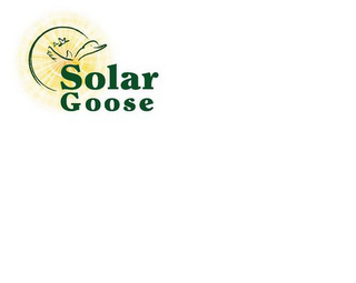 SOLAR GOOSE