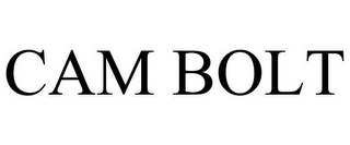 CAM BOLT