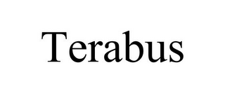 TERABUS