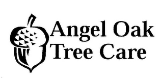 ANGEL OAK TREE CARE