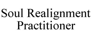 SOUL REALIGNMENT PRACTITIONER