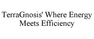 TERRAGNOSIS' WHERE ENERGY MEETS EFFICIENCY