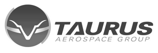 V TAURUS AEROSPACE GROUP