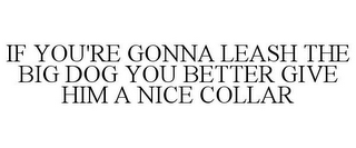 IF YOU'RE GONNA LEASH THE BIG DOG YOU BETTER GIVE HIM A NICE COLLAR