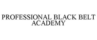 PROFESSIONAL BLACK BELT ACADEMY