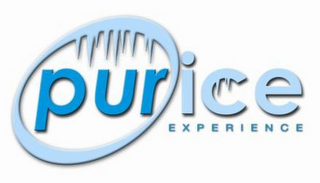 PUR ICE EXPERIENCE