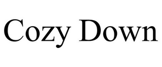 COZY DOWN