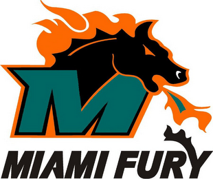 M MIAMI FURY