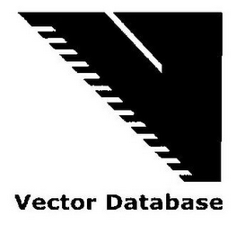 V VECTOR DATABASE