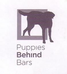 PUPPIES BEHIND BARS