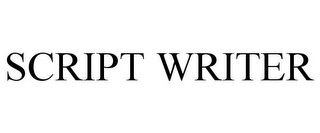 SCRIPT WRITER