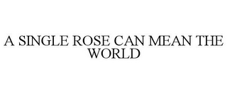 A SINGLE ROSE CAN MEAN THE WORLD