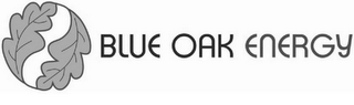 BLUE OAK ENERGY