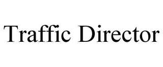 TRAFFIC DIRECTOR