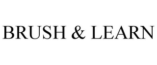 BRUSH & LEARN