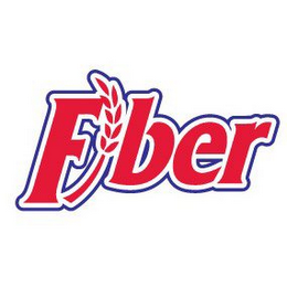 FIBER