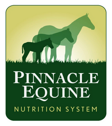 PINNACLE EQUINE NUTRITION SYSTEM