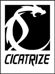 C CICATRIZE