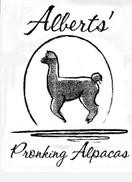 ALBERTS' PRONKING ALPACAS