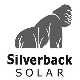 SILVERBACK SOLAR