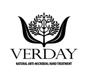 VERDAY NATURAL ANTI-MICROBIAL HAND TREATMENT